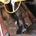 images/753 - Morgan - Plus 4 - 2.jpg